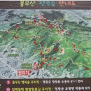 현대오일뱅크(주)금호주유소 이미지