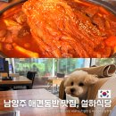 설하당 | 남양주 매운돼지갈비김치찜 애견동반 식당 추천, 설하식당 내돈내산 후기