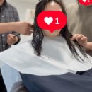 합정 미용실 어몽헤어 홍대합정점 추천 | 이종현 디자이너 클리닉 솔직 후기 적극 추천