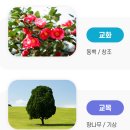 한국말산업고등학교 이미지