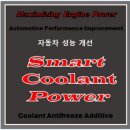 명종모터스 | 벤츠 E300 4MATIC 냉각수 첨가제 라디파워 대구 명종 모터스 작업