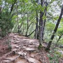 미성쉼터 | [휴가] 2일차 4.19민주묘지 &amp; 북한산 둘레길 쪼끔