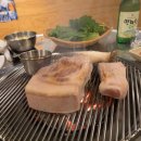 흑사돈