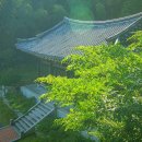 함안 검암리 충순당 | 🏯 함안 무진정 . 황곡서원 . 충순당 탐방