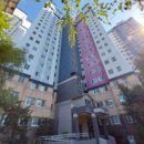 데시앙포레 이미지