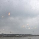 영흥곰탕 | 인천 옹진 영흥도 🍚영흥곰탕 ☔비오는영흥도 따뜻한곰탕한그릇