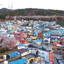 청학1동-6 이미지