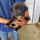 문곡2길 이미지