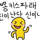 네르하쏠 이미지