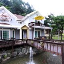 행복한집펜션 이미지