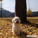 미야팜스토어