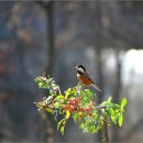 새나루쉼터 이미지