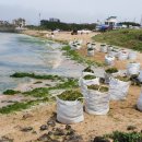 제주바당 이미지