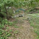 약진로변 이미지