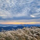 탑산사주차장 이미지