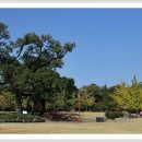 달성공원 이미지