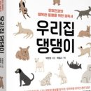 우리집 댕댕이 이미지