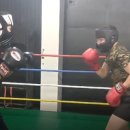 정일복싱 이미지