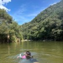 삼성식육점 | 칠성동 정육점 남경고기마트 대구 식육점