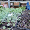 권선농약사 이미지