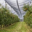 유인농장 이미지