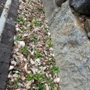 마음을 두드리는 그림책 똑 이미지