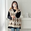 빈센트 핏 이미지