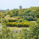 카멜리아힐 이미지