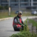 라메종베니 이미지