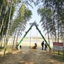 섬진강대나무숲길 이미지