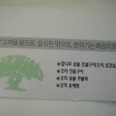 느티나무농원 Daum카페