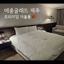 대림종합세탁 | 메종글래드 제주 : 제주공항 가까운 호텔의 프리미엄 더블룸 내돈내산