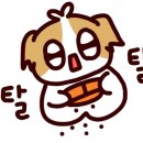 애견랜드 이미지