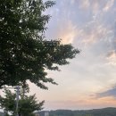 르당