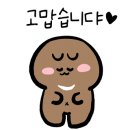 보라종합동물병원 이미지