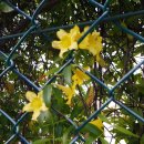 덕포초등학교 이미지