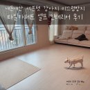 제인펫 | 내돈내산 세븐펫 강아지 미끄럼방지 타일카페트 셀프 인테리어 후기