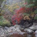 용문산그린펜션