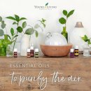 리빙허브 이미지