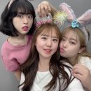 피아크(주)