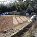 전라북도 부안군 줄포시외버스터미널 이미지