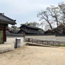 1일1코스