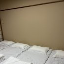 파워당구장 | [시즈오카 여행] Day2, 이즈사보텐 동물공원, 헤이와도리상점가, 료칸 온천후기! (렌트카 여행)