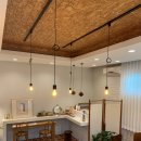 아델리아 이미지