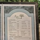 숲속앤정원 이미지