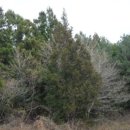 색달동-9 이미지