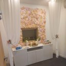 스토리펫 이미지