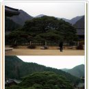 영담한지미술관 이미지