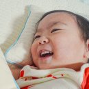 어린이집낮잠이불 일체형 분리형 선택기준 건조기 변형없는 캔코 낮잠이불 추천