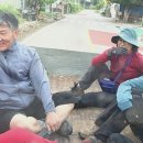 26.5.13.(수)지리산 천왕봉 최단코스 순두류-로타리대피소-천왕봉-중봉-써리봉-치박목-유평마을 이미지